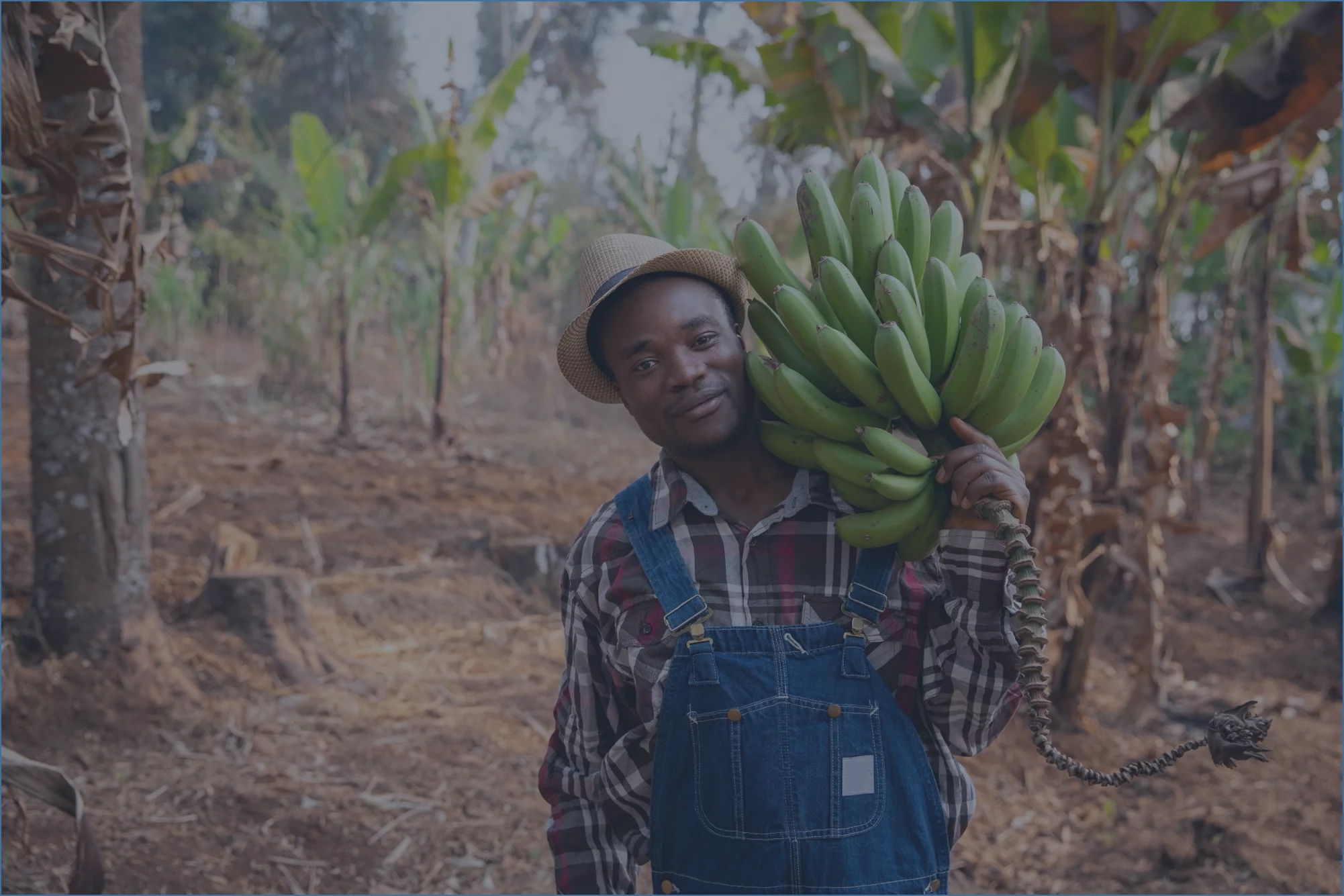 Pourquoi est ce que vous devez investir dans le secteur agribusiness en Afrique ?